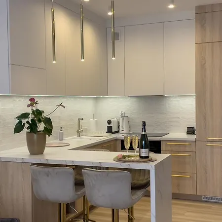 Urban Opolska 10 No 29 -rooftop Garden - Balcony - Air Condition - Free Garage - Luxury 아파트 카토비체