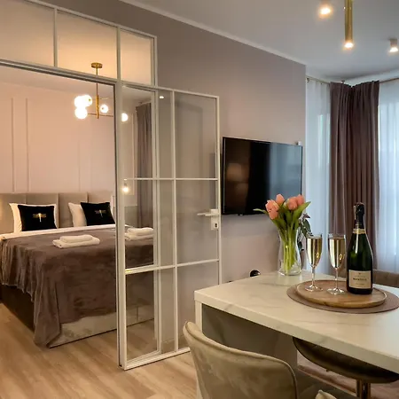 Urban Opolska 10 No 29 -rooftop Garden - Balcony - Air Condition - Free Garage - Luxury 카토비체